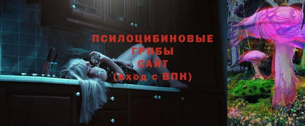 ГАЛЛЮЦИНОГЕННЫЕ ГРИБЫ Абинск