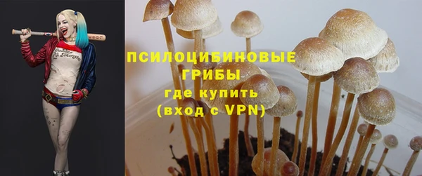 ГАЛЛЮЦИНОГЕННЫЕ ГРИБЫ Абинск