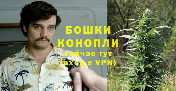 ГАЛЛЮЦИНОГЕННЫЕ ГРИБЫ Абинск