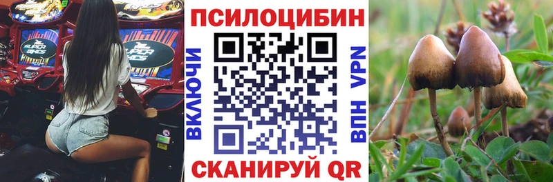 Галлюциногенные грибы GOLDEN TEACHER  цена наркотик  Шарыпово 